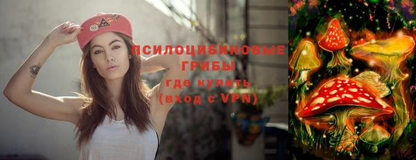 ГАЛЛЮЦИНОГЕННЫЕ ГРИБЫ Баксан