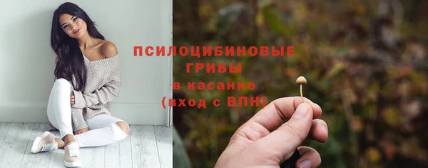 apvp Балахна